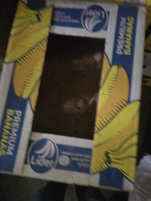 Caixas de arrumação/mudanças