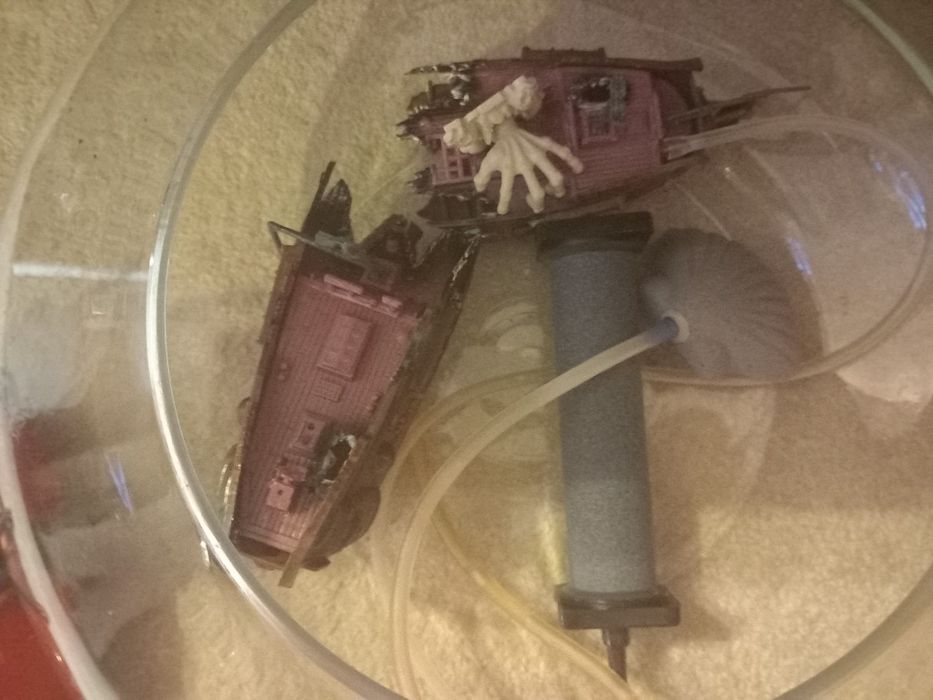 Aquário de vidro com acessórios incluídos que estão nas fotos