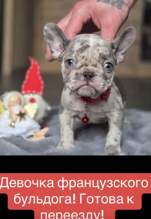 Мини! Голубые глазки девочка