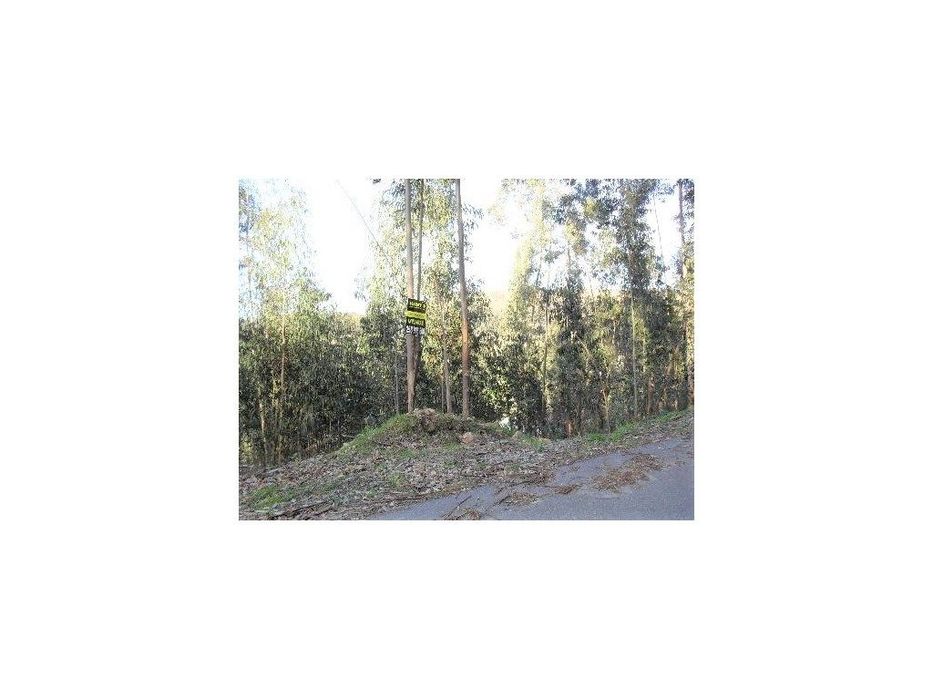 Terreno de Construção em Serdedelo