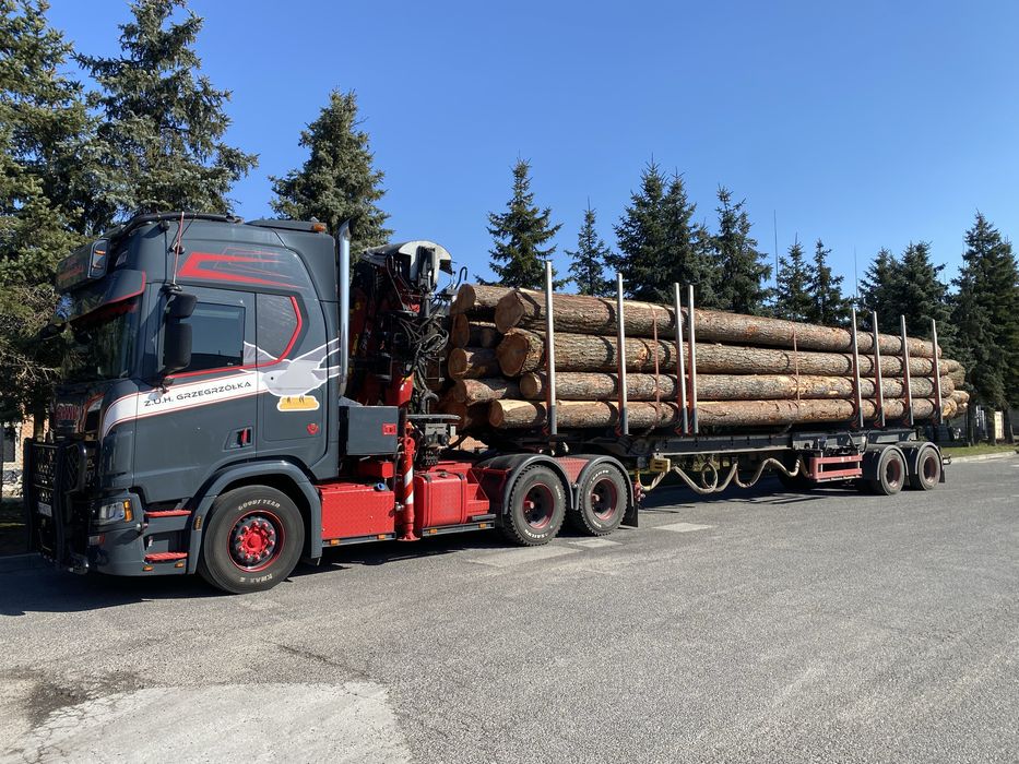 Drewno Modrzew tartaczny