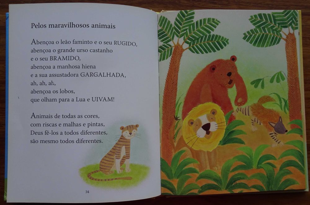 Orações Para Os Pequeninos