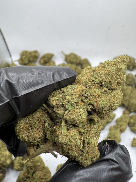 1kg susz CBD Blackberry/THC<0.3%