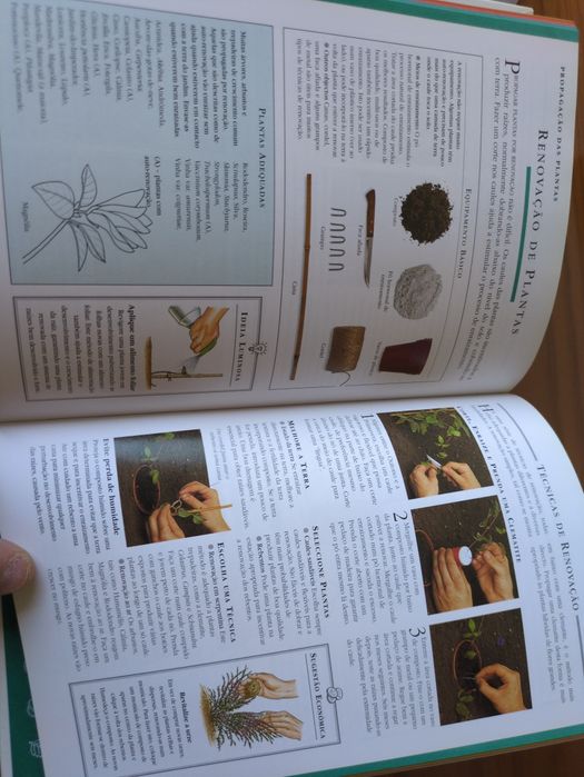 Jardinagem Conselhos e Sugestões de Pippa Greenwood