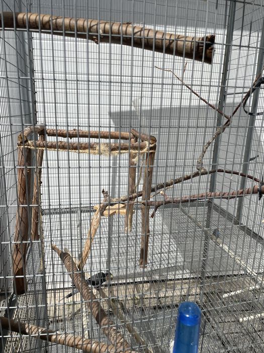 Gailola de ferro e inox