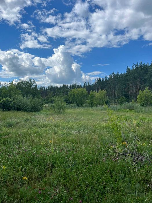 Пропонуємо до продажу земельну ділянку в с. Лозівок