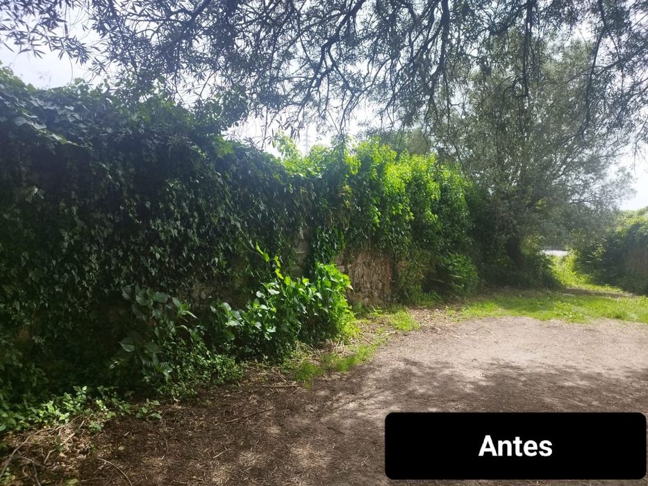 Jardinagem e Manutenção de Jardim