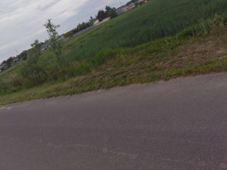 Działka 30ar Gręzów koło Siedlec Mazowieckie - Widok 4