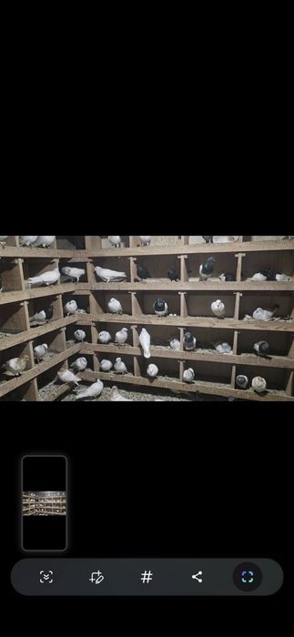 Lot około 110 sztuk