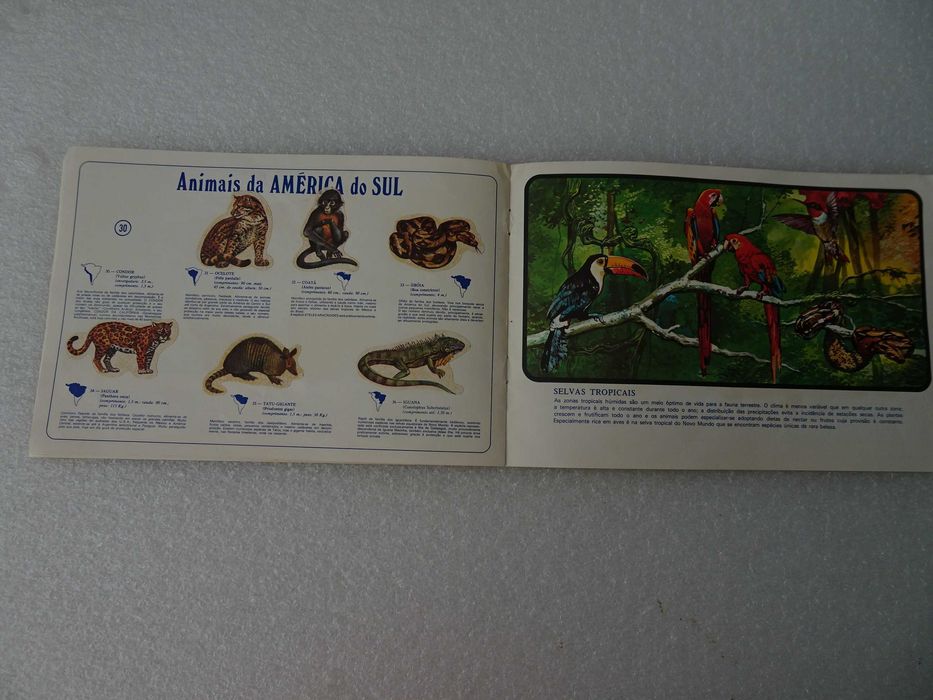 Caderneta gelados Olá Mundo Animal Operação S.O.S.  (faltam 10 cromos)