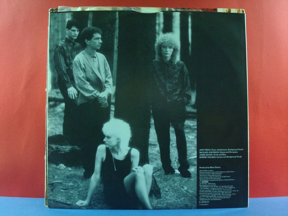 'Til Tuesday - Welcome Home / Near Mint / LP / EU / 198664729896189059123