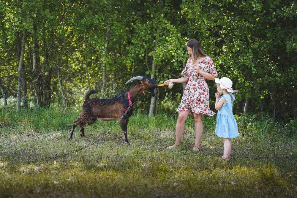 Wypoczynek na Agroturystyce Staw i Koza