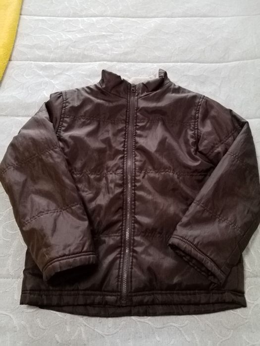 Kispo castanho 10 anos