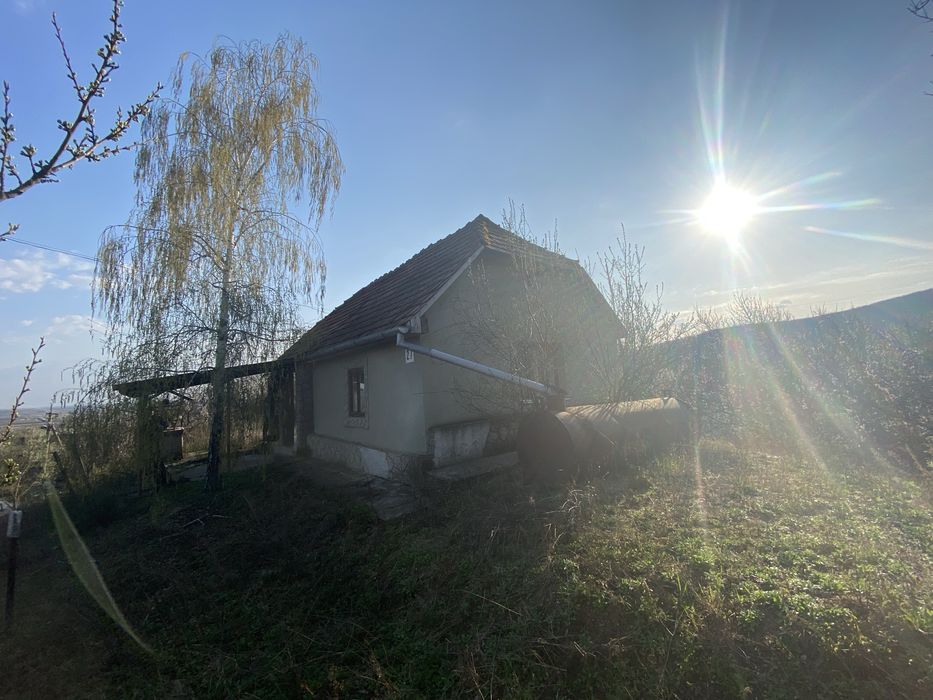 ‼️Продам будинок у передмісті Берегова.с Мужієво