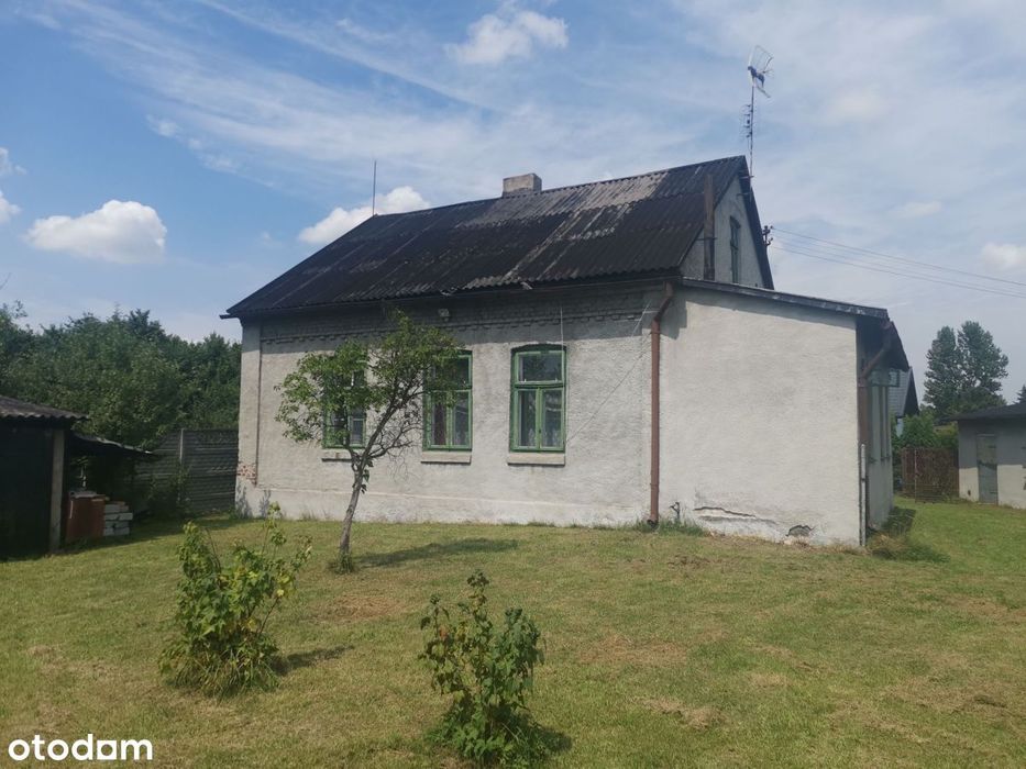 Zdjęcie 5