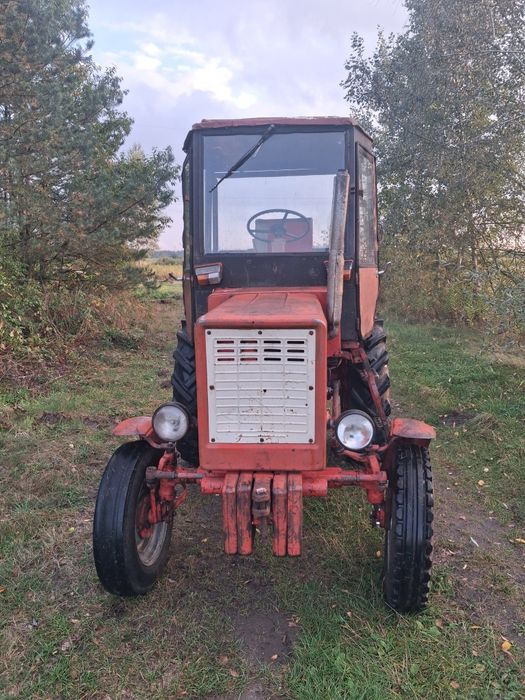 Władimirec t25 Zarejestrowany