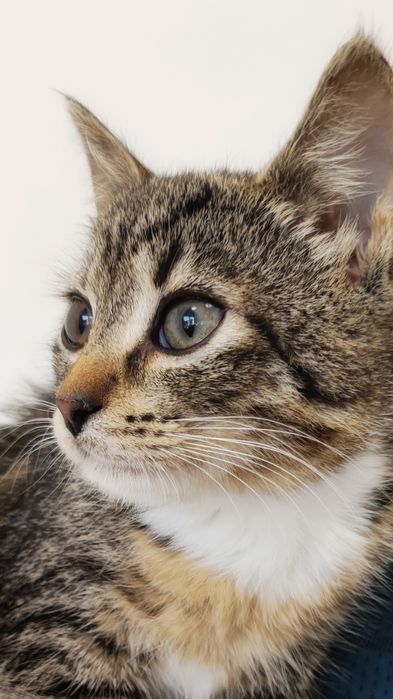 Maleństwo szuka miłości :)