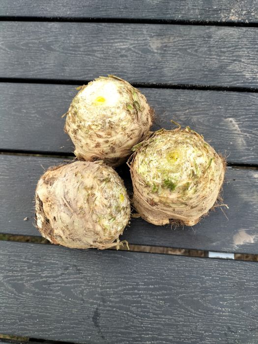 Seler dowóz gratis ,