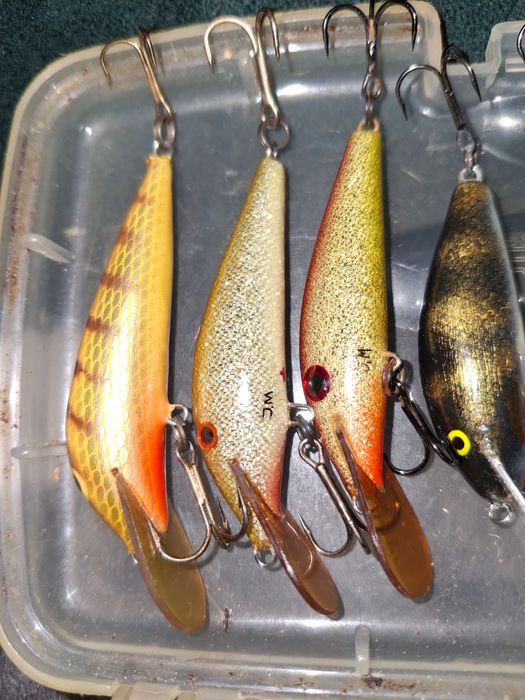 Woblery Pstrąg,Troć