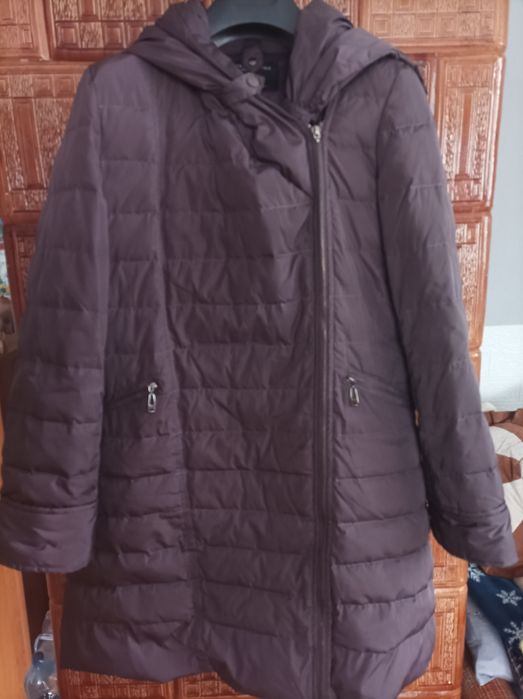 Płaszczyk jesienny  Xl śliwkowy