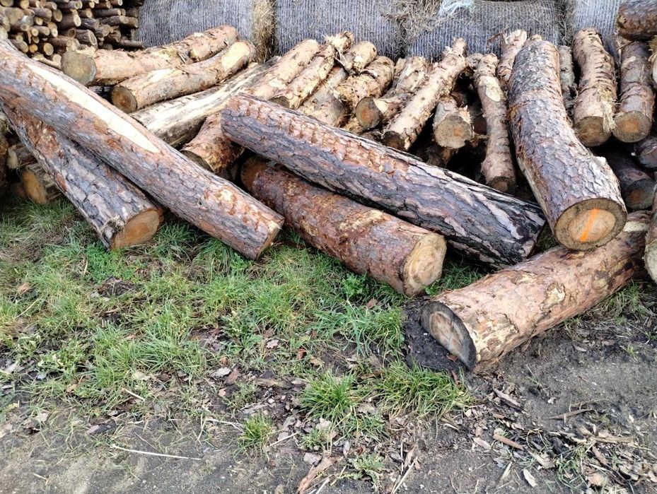 Drzewo drewno opalowe lisciaste sosnowe dębowe, na metry