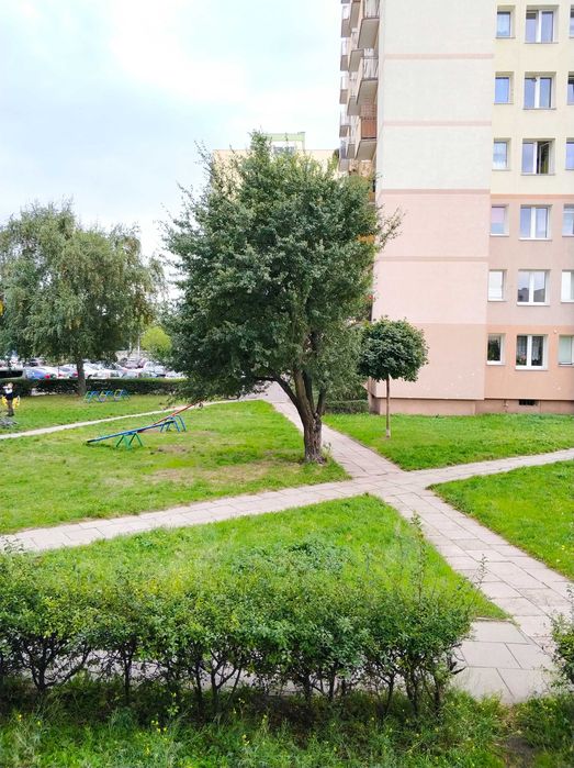 Zdjęcie 7