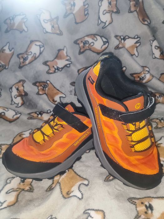 Кросівки Merrell