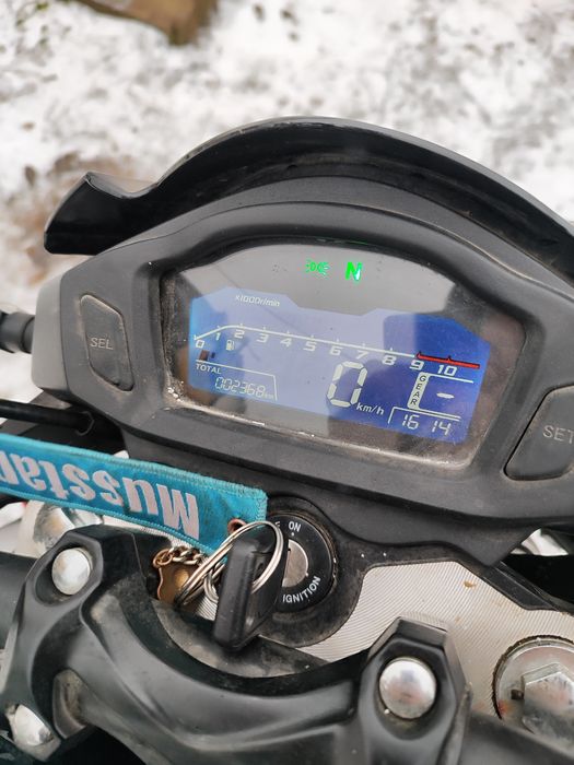 Musstang fortune 200