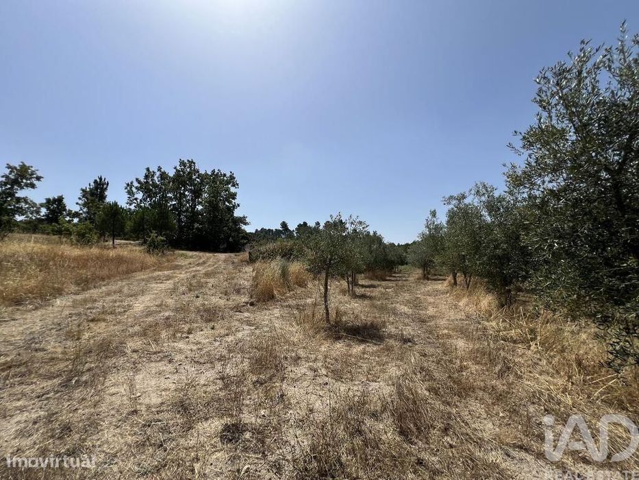 Terreno em Sernancelhe e Sarzeda de 44527,00 m2