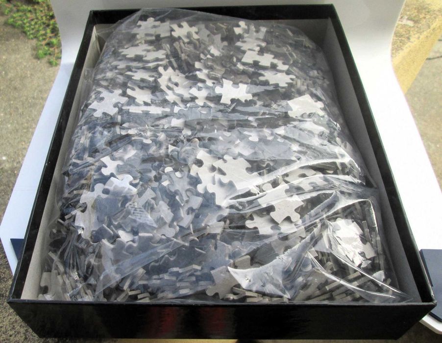 Puzzle 1000 peças Twilight “Bad Vamps”