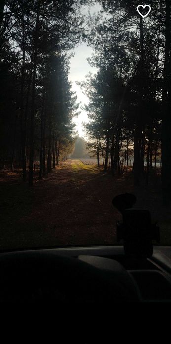 Wyjątkowe Działki 13 arów pod Lasem – Golemki | Kwadratowe, Woda na Miejscu! - Widok 5