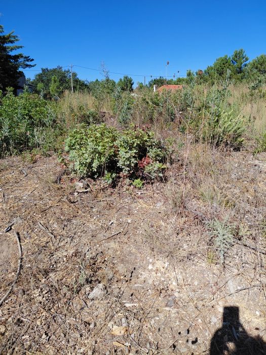 Vende se Terreno