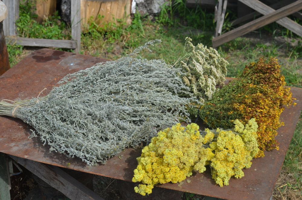 Банні віники для сауни березові віники  дубові віники травяні віники