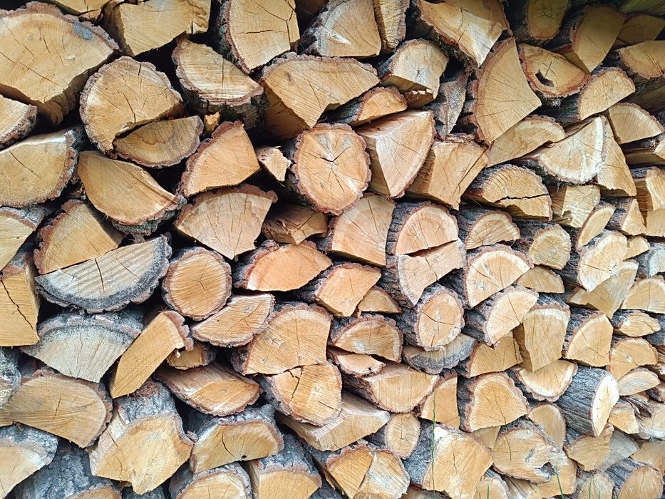 Drewno kominkowe opałowe
