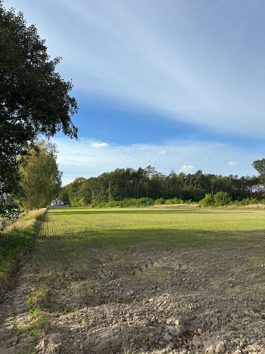 Działki budowlane pod lasem Jezierzyce Kościelne 900 m² i 964 m² - Widok 2
