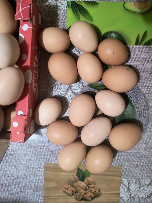 Яйця курячі яйця