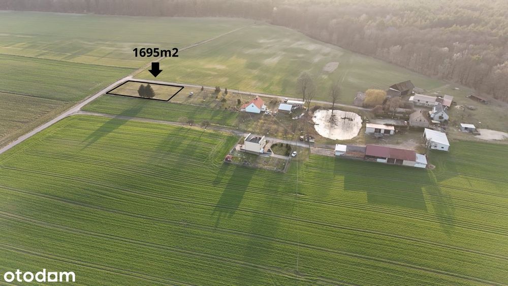 Wyjątkowa działka budowlana w Lubnie - cisza, las, asfalt i WZ