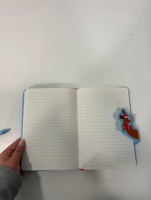 Caderno e caneta da Tiger