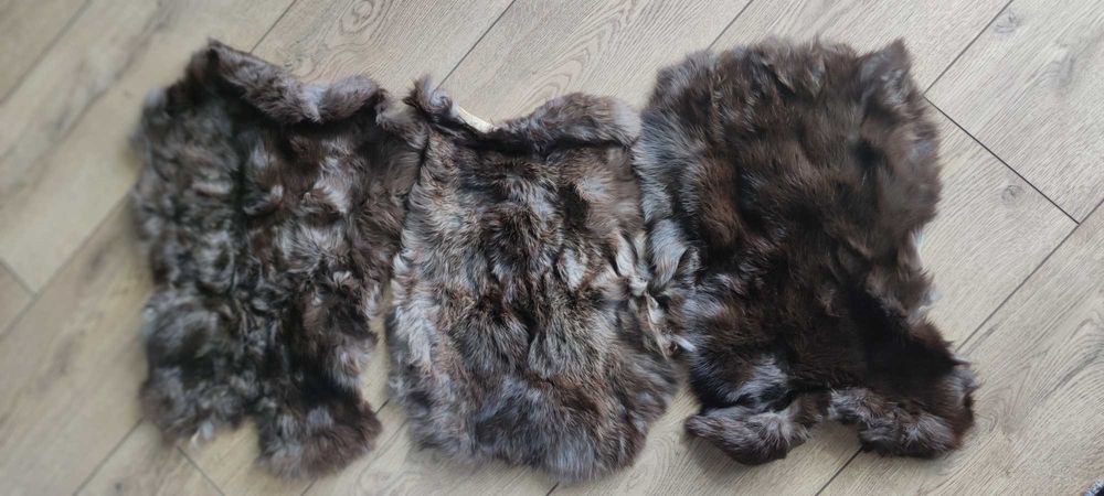 Продам виченені кролячі шкурки