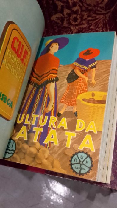 CUF Companhia União Fabril - António Luís de Seabra