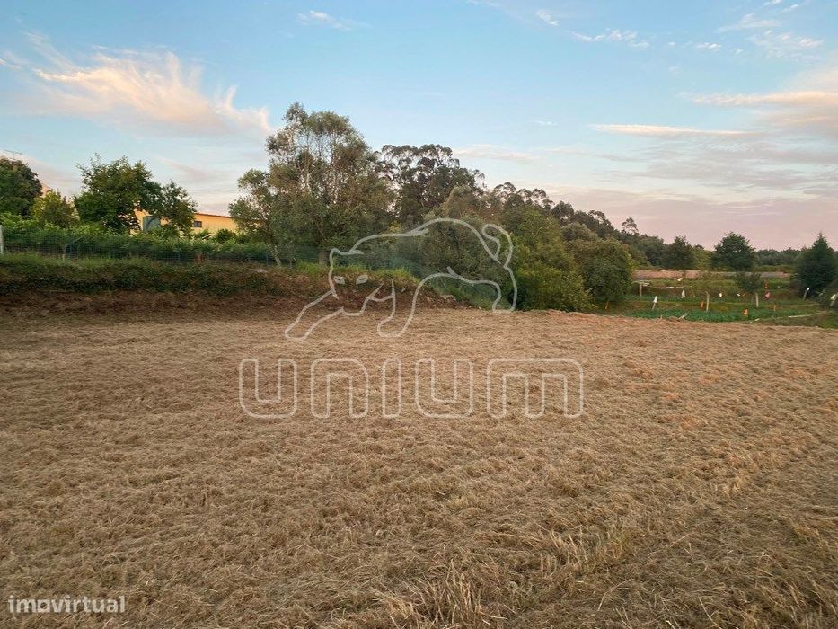 Terreno para venda na Montaria
