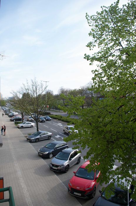 Apartament w centrum Gdyni ( Noclegi )