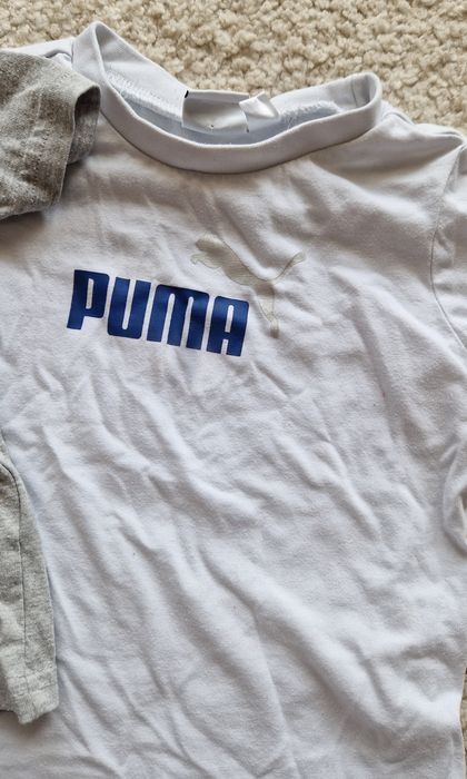Koszulki t-shirt Puma 18m