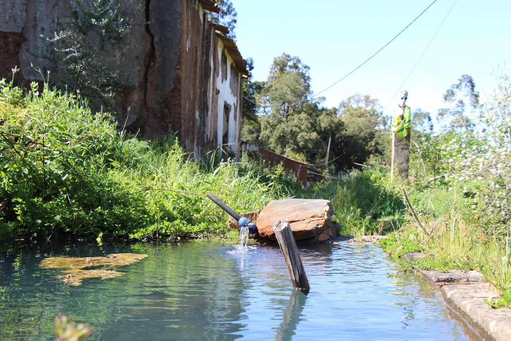 Quinta,3ruinas,Agua,hortas,Paz e privacidade
