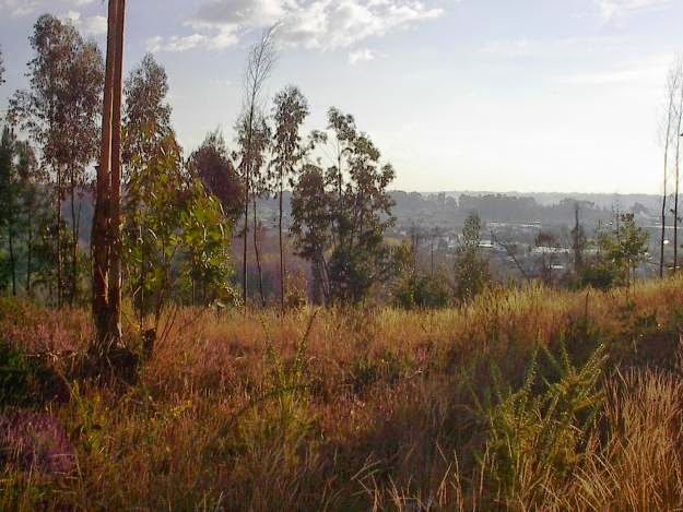 Terreno urbano para construção