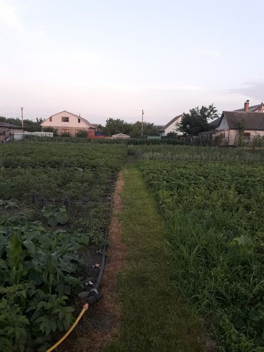 Продаж земельної  ділянки  під забудову в с. Слобода, пров. Садовий