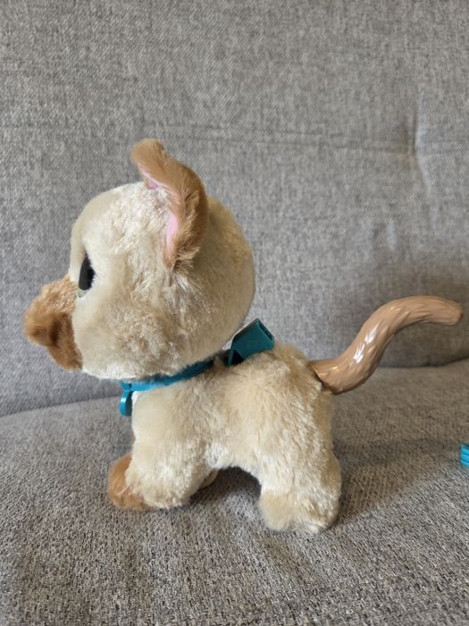 Kotek Hasbro interaktywny