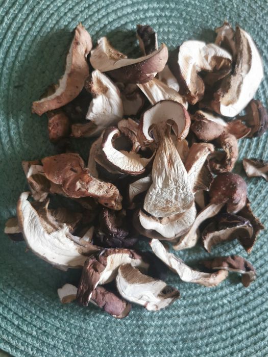 Prawdziwki suszone  100g