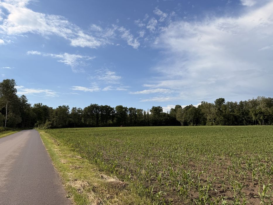 Działka budowlana Pogonów (1 km od Zbuczyna) - Widok 4