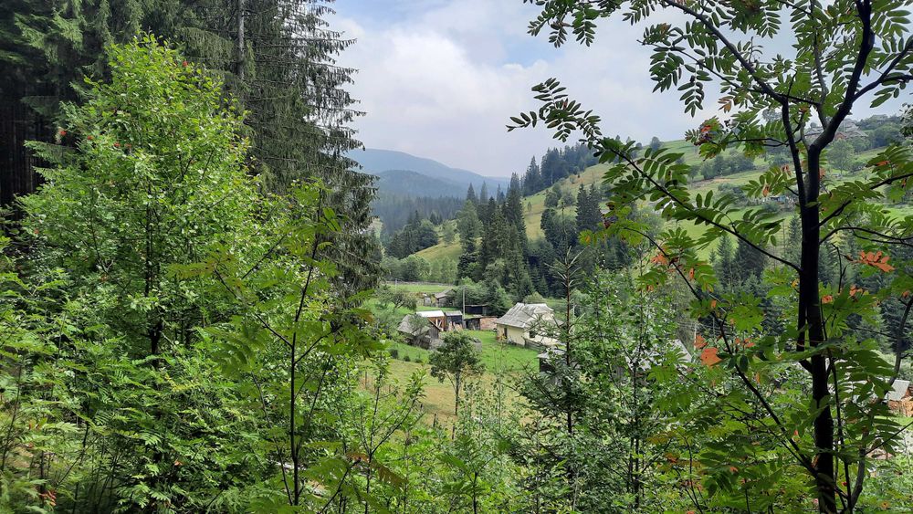 Дві ділянки 31 сотка, та пів хати. Ліс, річка. Світ, криниця, асфальт